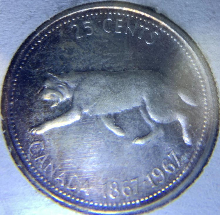 A-Running-Chain-Of-That-Coin-Dude's-World-Coin-Finds.